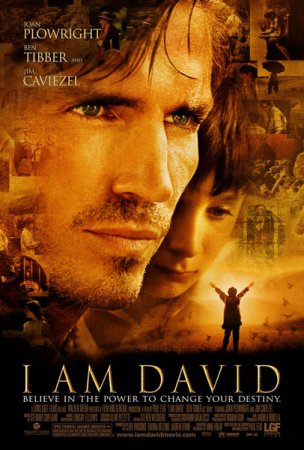 Скачать фильм Меня зовут Дэвид (2003)