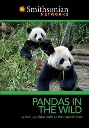 Скачать фильм Гигантская панда (Панды на свободе) / Giant Panda (Pandas in  ...