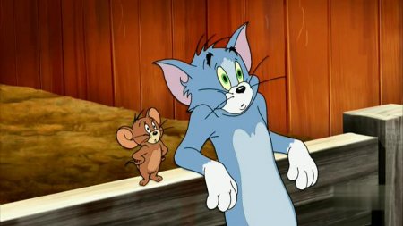 Скачать мультфильм Том и Джерри & Волшебник из страны Оз / Tom and Jerry the Wizard of Oz (2011)