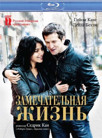 Скачать фильм Замечательная жизнь (2011)