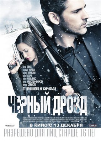 Скачать фильм Черный дрозд / Deadfall (2012)