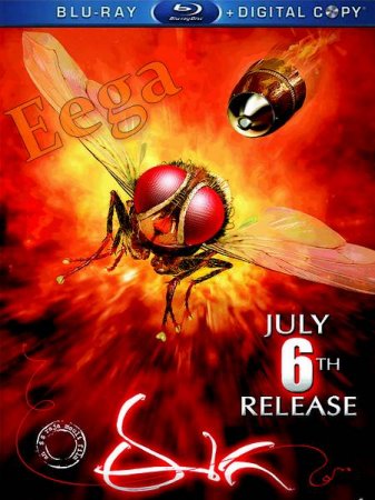 Скачать фильм Муха / Eega (2012)