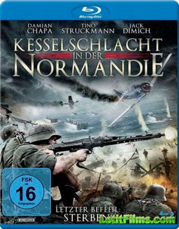 Скачать фильм Красная роза Нормандии / Red Rose of Normandy (2011)