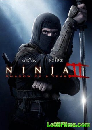 Скачать фильм Ниндзя 2 / Ninja: Shadow of a Tear [2013]