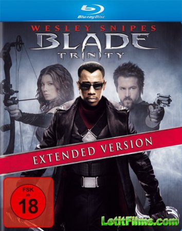 Скачать фильм Блэйд 3: Троица / Blade: Trinity (2004)