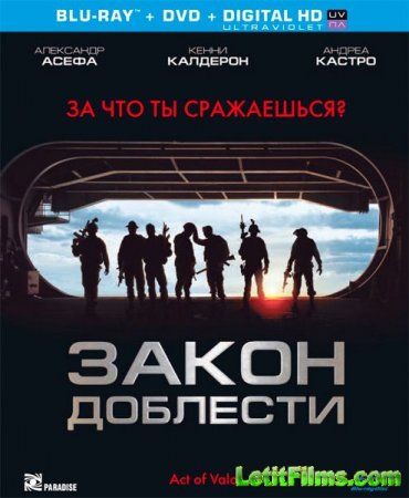 Скачать фильм Закон доблести (2012)