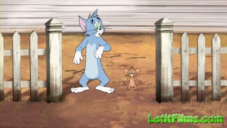 Скачать Том и Джерри / Tom and Jerry