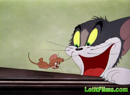 Скачать Том и Джерри / Tom and Jerry