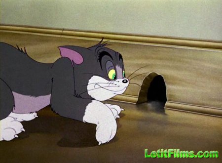 Скачать Том и Джерри / Tom and Jerry