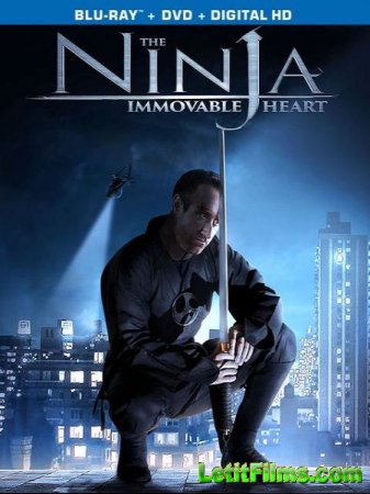 Скачать фильм Ниндзя: Шаг в неизвестность / Ninja Immovable Heart (2014)