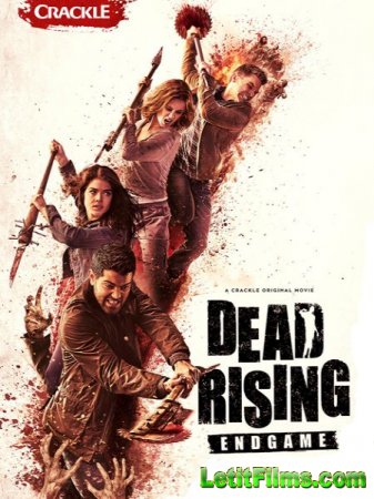 Скачать фильм Восставшие мертвецы: конец игры / Dead Rising: Endgame (2016)