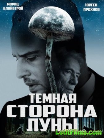 Скачать фильм Тёмная сторона Луны / Die dunkle Seite des Mondes (2015)