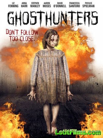 Скачать фильм По следам призраков / Ghosthunters (2016)