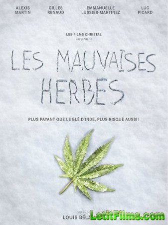 Скачать фильм Плохие семена / Les mauvaises herbes (2016)