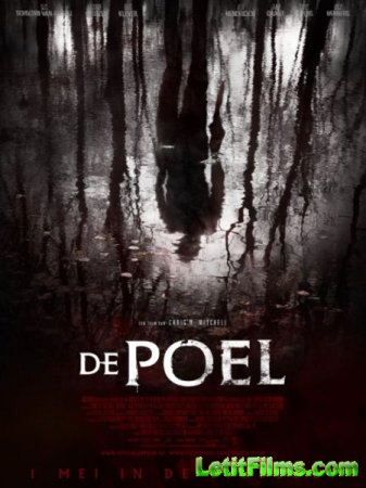 Скачать фильм Озеро / De Poel (2014)