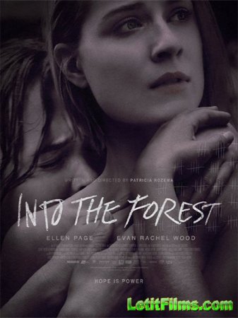 Скачать фильм В лесу / Into the Forest (2015)