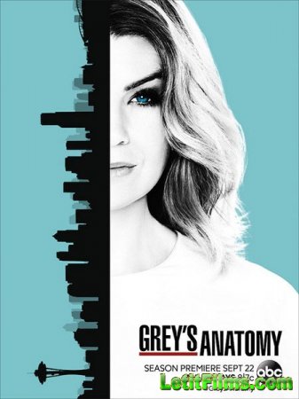 Скачать сериал Анатомия Грей / Анатомия страсти / Greys Anatomy - 13 сезон  ...