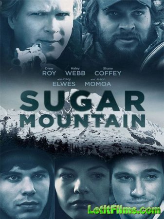 Скачать фильм Сахарная гора / Sugar Mountain (2016)