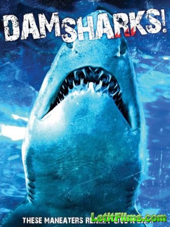 Скачать фильм Акульи плотины / Dam Sharks (2016)