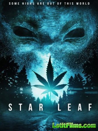 Скачать фильм Звездная травка / Star Leaf (2016)