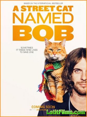 Скачать фильм Уличный кот по кличке Боб / A Street Cat Named Bob (2016)