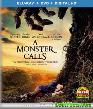 Скачать фильм Голос монстра / A Monster Calls (2016)