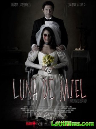 Скачать фильм Медовый месяц / Luna de Miel (2015)