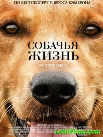 Скачать фильм Собачья жизнь / A Dog's Purpose (2017)