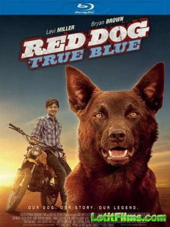 Скачать фильм Рыжий: вся правда / Red Dog: True Blue (2016)