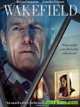 Скачать фильм Во всем виноват енот / Wakefield (2016)