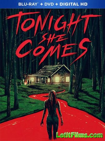 Скачать фильм Она придёт сегодня ночью / Tonight She Comes (2016)