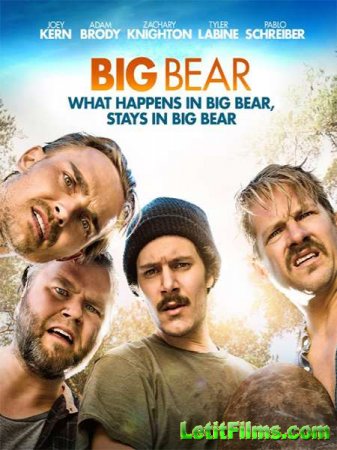 Скачать фильм Большой медведь / Big Bear (2017)