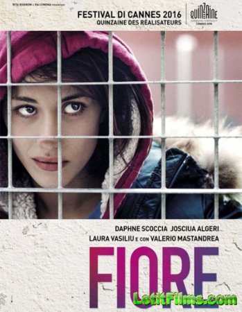 Скачать фильм Цветок / Fiore (2016)