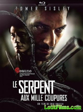 Скачать фильм Змей с тысячей порезов / Le serpent aux mille coupures (2017)