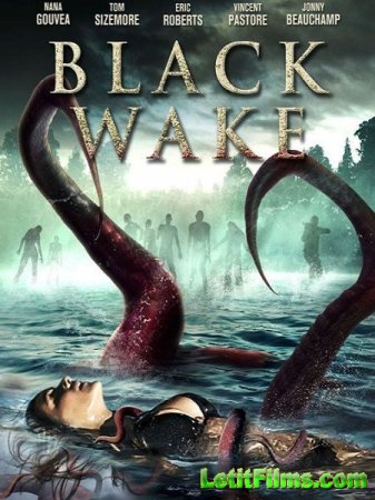 Скачать фильм Тёмное пробуждение / Black Wake (2018)