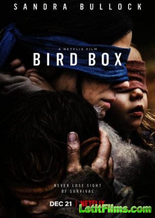 Скачать фильм Птичий короб / Bird Box (2018)