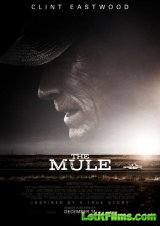 Скачать фильм Наркокурьер / The Mule (2018)