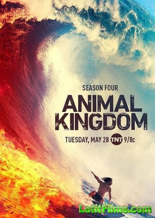 Скачать По волчьим законам / Animal Kingdom - 4 сезон (2019)