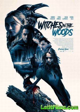 Скачать фильм Ведьмы в лесу / Witches in the Woods (2019)
