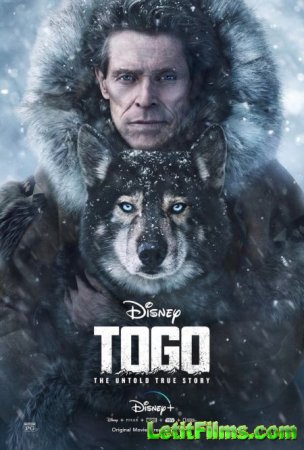 Скачать фильм Того / Togo (2019)