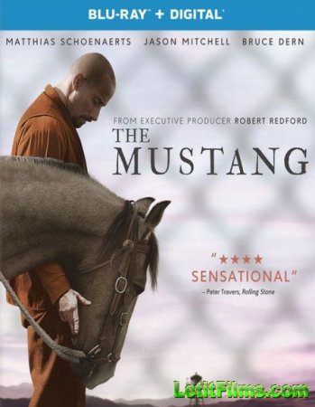 Скачать фильм Мустанг / The Mustang (2019)