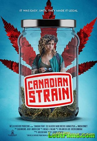 Скачать фильм Канадский сорт / Canadian Strain (2019)