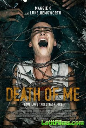 Скачать фильм Моя смерть / Death of Me (2020)