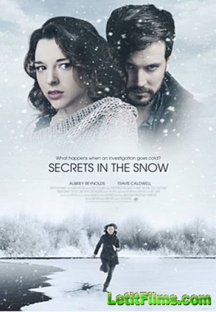 Скачать фильм Секреты в снегу / Secrets in the Snow (2020)
